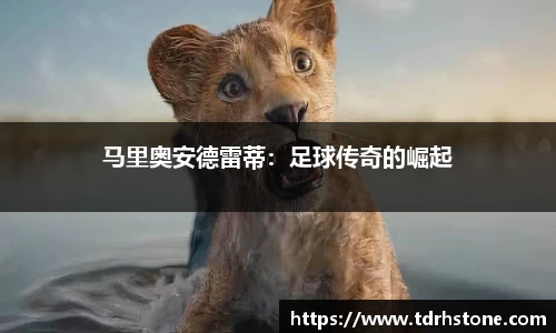 九游会j9